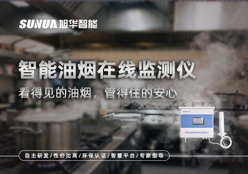 智能油烟在线监测仪：看得见的油烟，管得住的安心